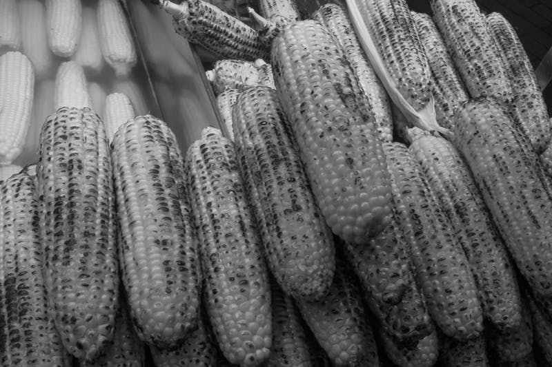 Seasoned Corn on the Cob grilled